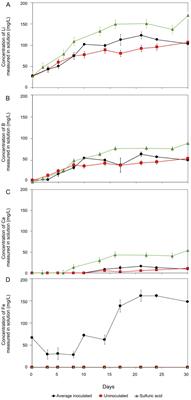 Bioleaching of lithium from jadarite, spodumene, and lepidolite using Acidiothiobacillus ferrooxidans